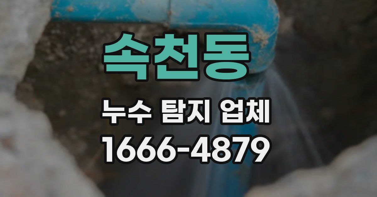 속천동 누수 탐지 업체