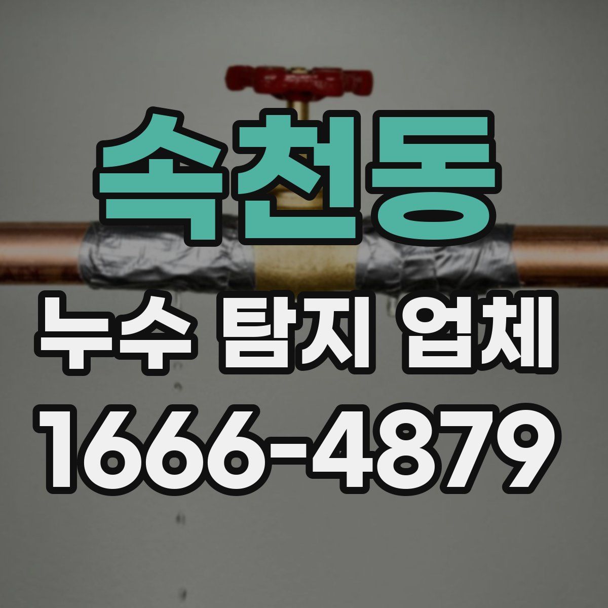 속천동 누수 탐지 업체
