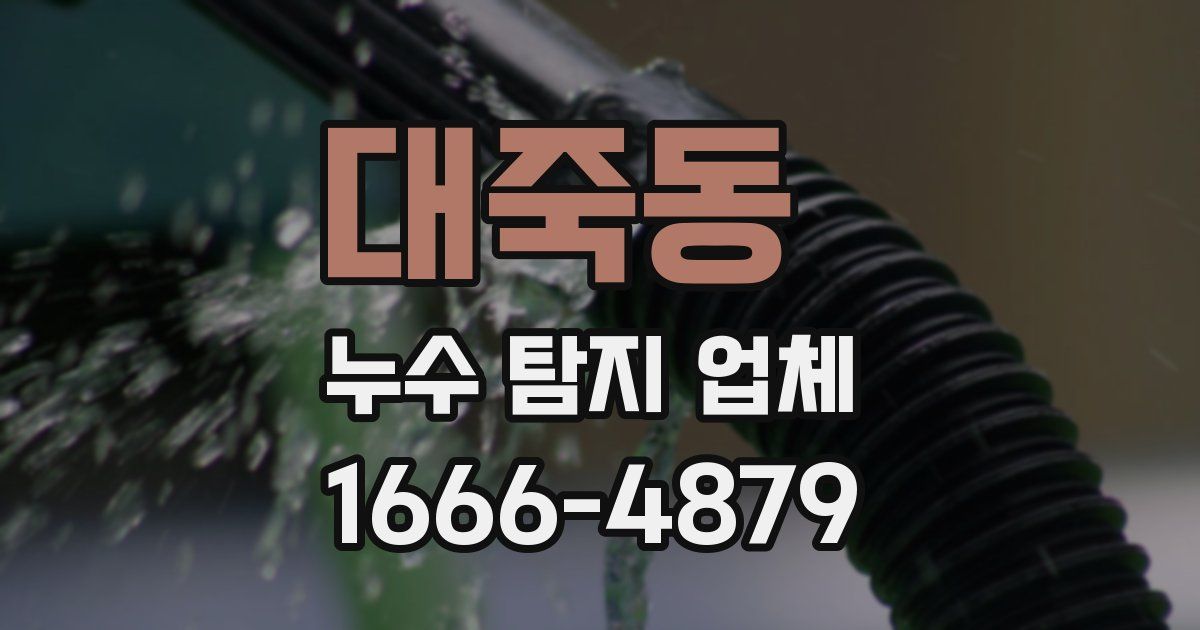 대죽동 누수 탐지 업체