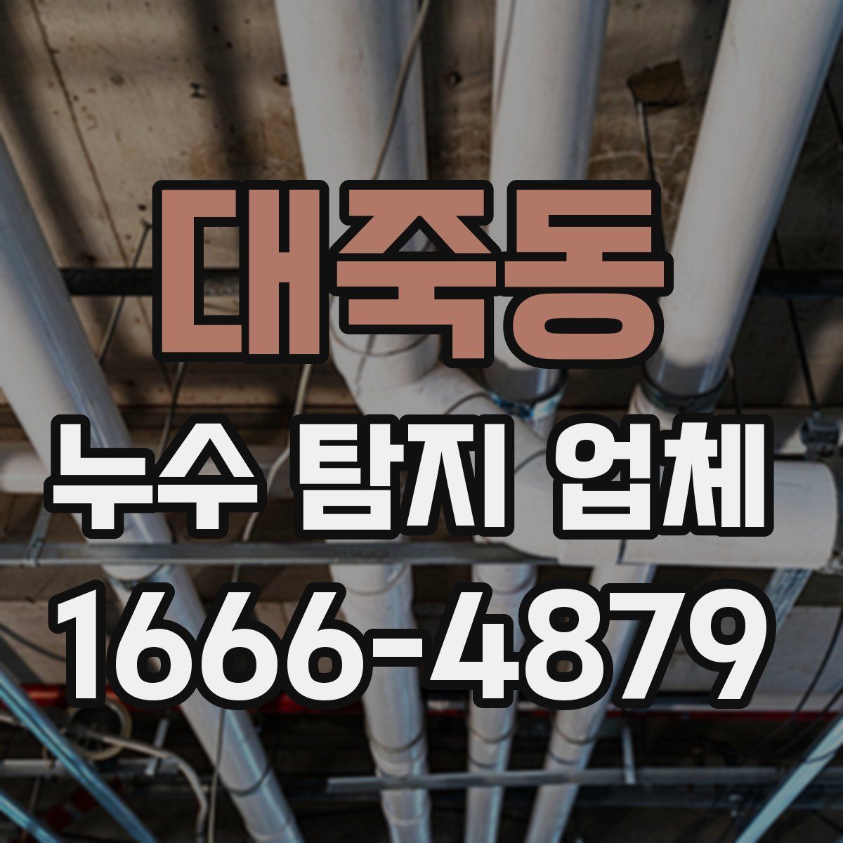 대죽동 누수 탐지 업체