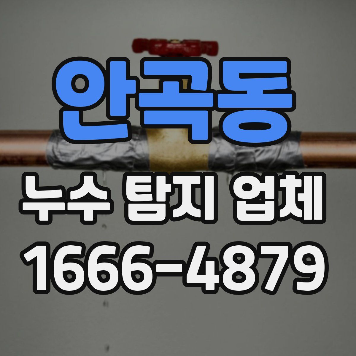 안곡동 누수 탐지 업체