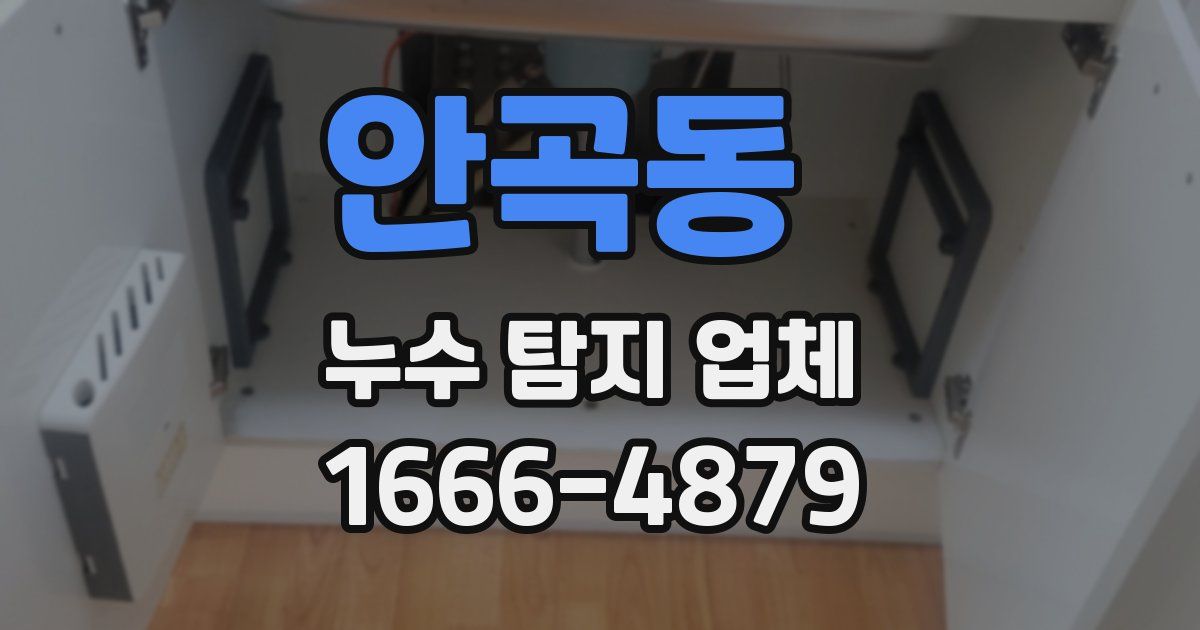 안곡동 누수 탐지 업체