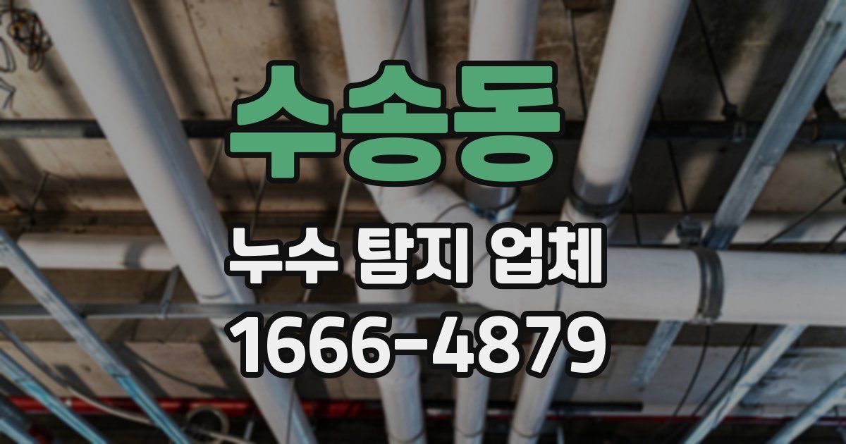 수송동 누수 탐지 업체