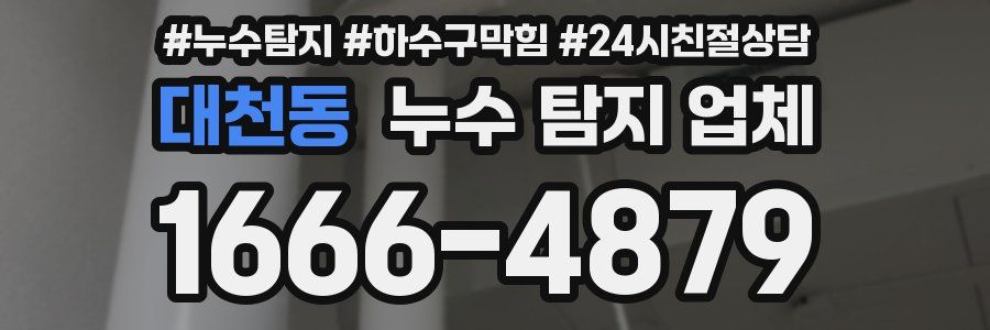 대천동 누수 탐지 업체