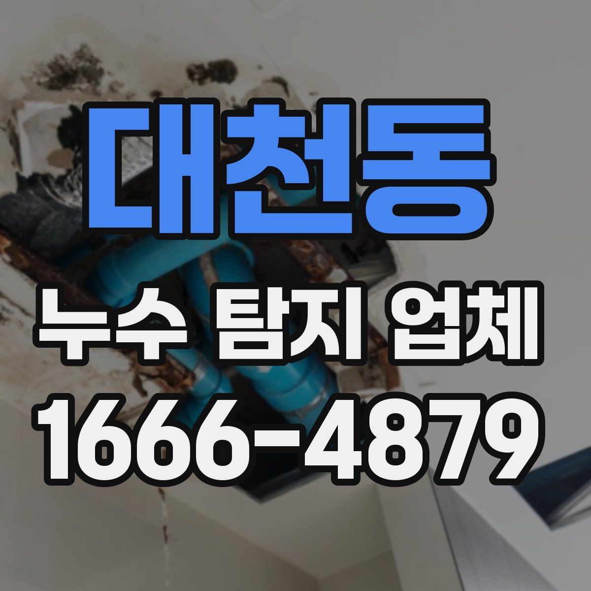 대천동 누수 탐지 업체