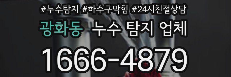 광화동 누수 탐지 업체