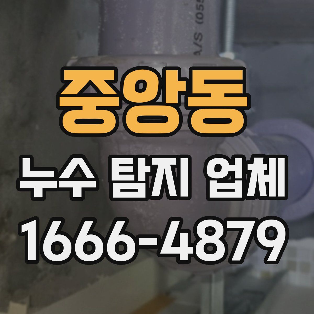 중앙동 누수 탐지 업체