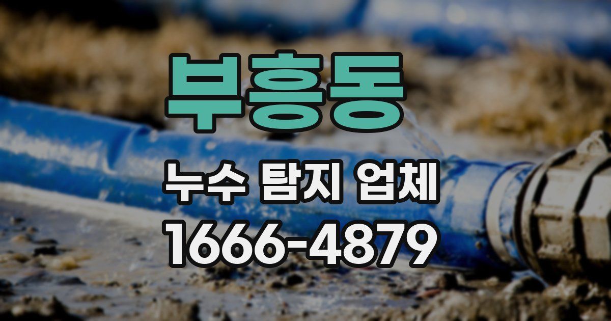 부흥동 누수 탐지 업체