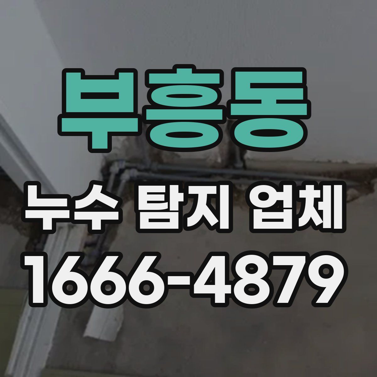 부흥동 누수 탐지 업체