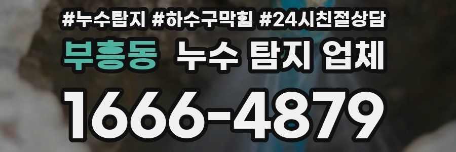 부흥동 누수 탐지 업체