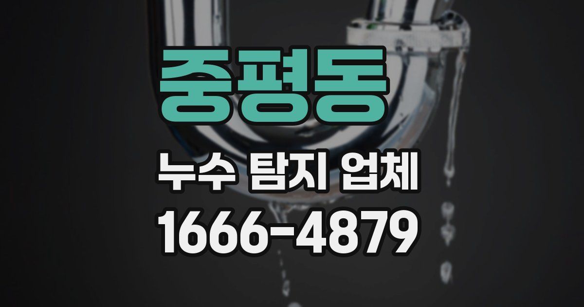 중평동 누수 탐지 업체