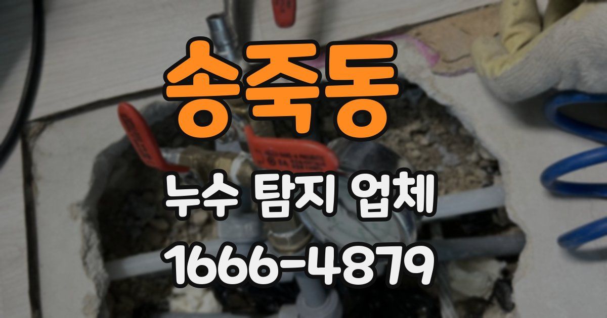 송죽동 누수 탐지 업체