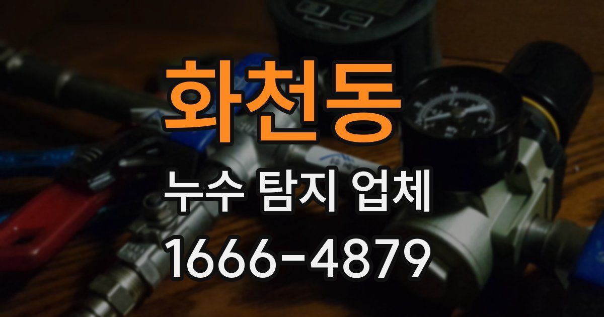 화천동 누수 탐지 업체
