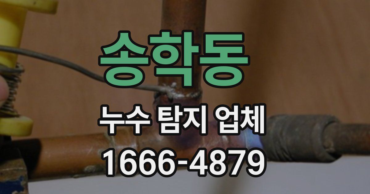 송학동 누수 탐지 업체