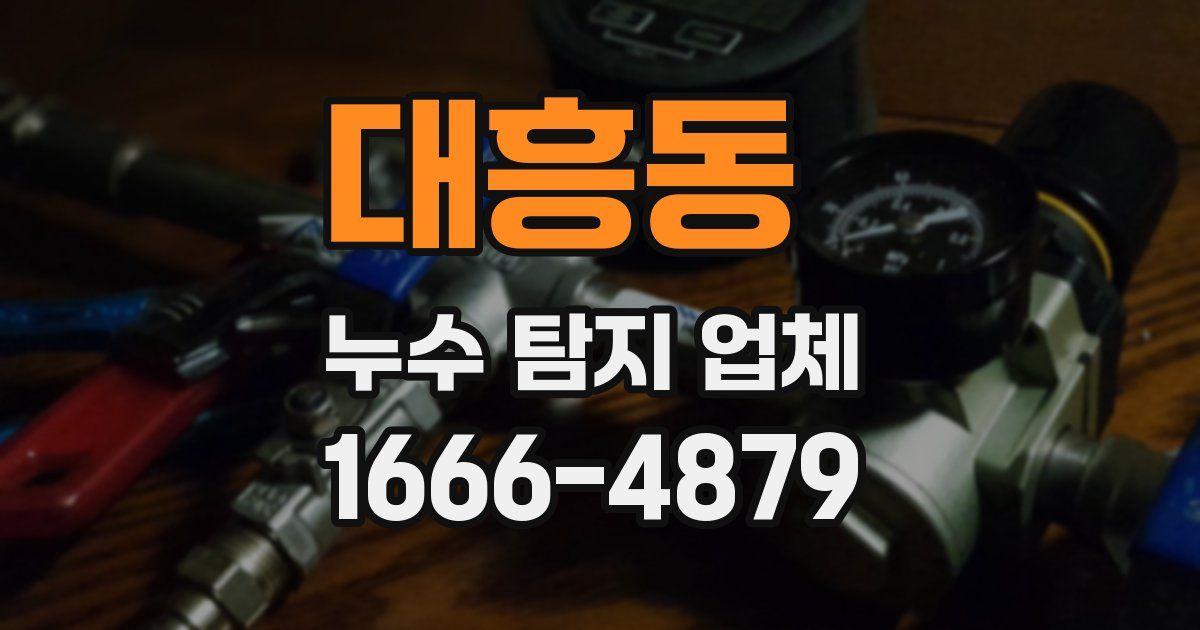대흥동 누수 탐지 업체