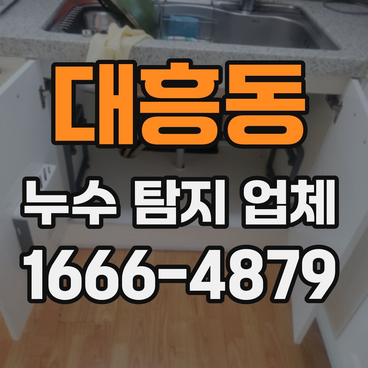 대흥동 누수 탐지 업체