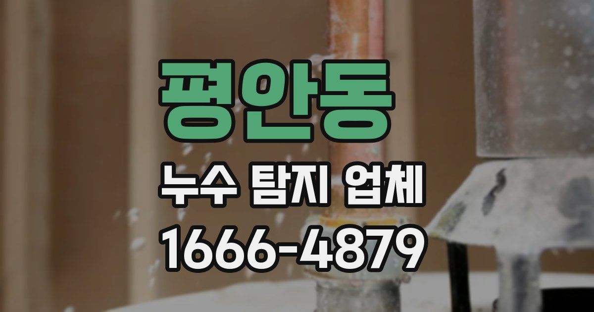 평안동 누수 탐지 업체