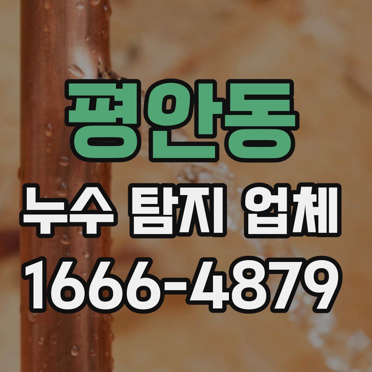 평안동 누수 탐지 업체