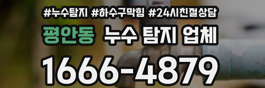 평안동 누수 탐지 업체