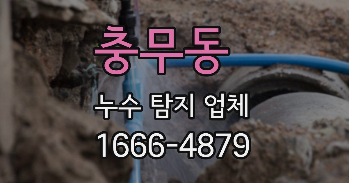 충무동 누수 탐지 업체