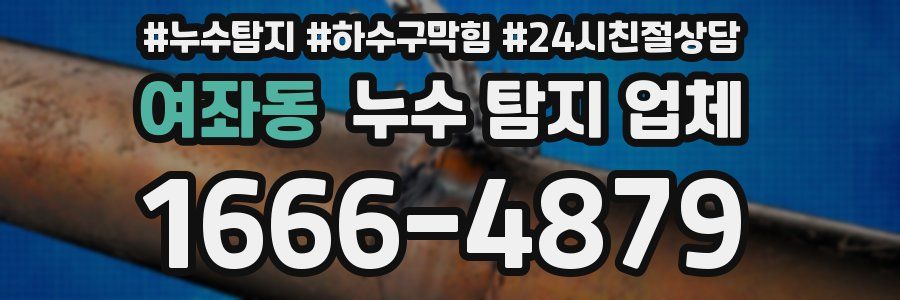 여좌동 누수 탐지 업체