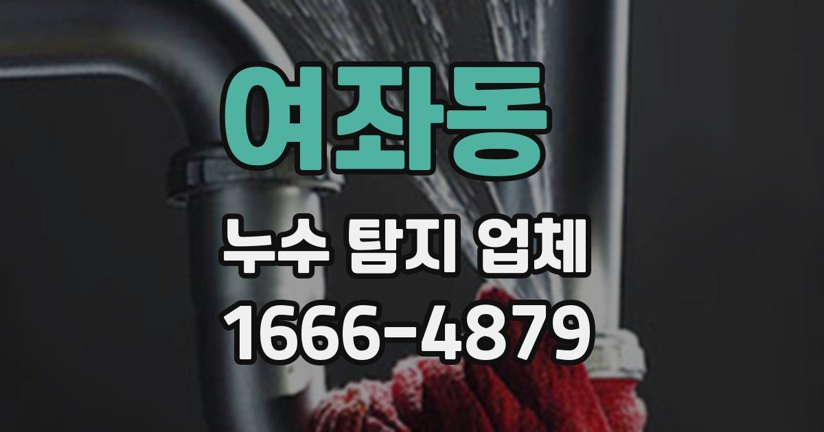 여좌동 누수 탐지 업체