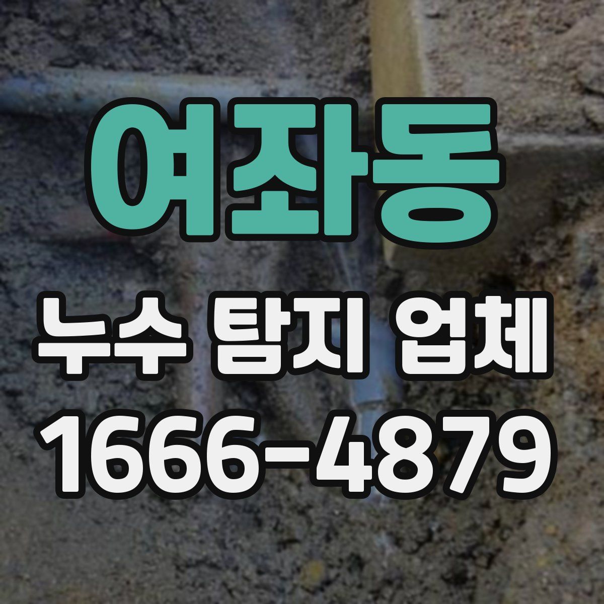 여좌동 누수 탐지 업체