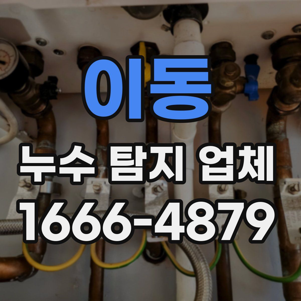 이동 누수 탐지 업체