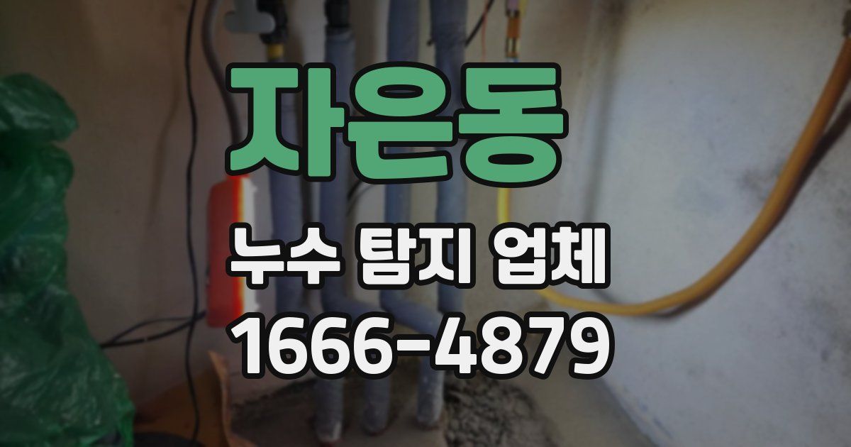자은동 누수 탐지 업체