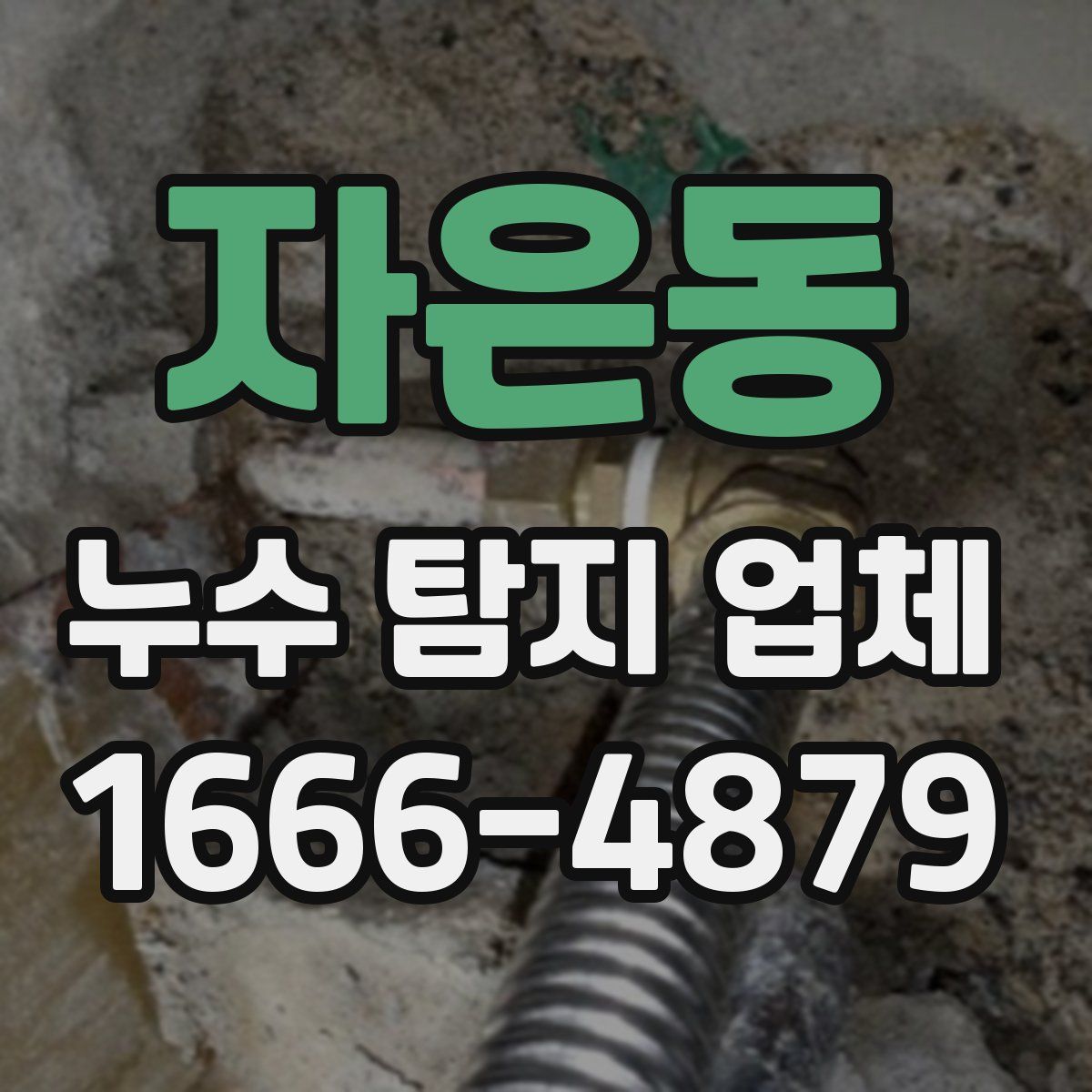 자은동 누수 탐지 업체