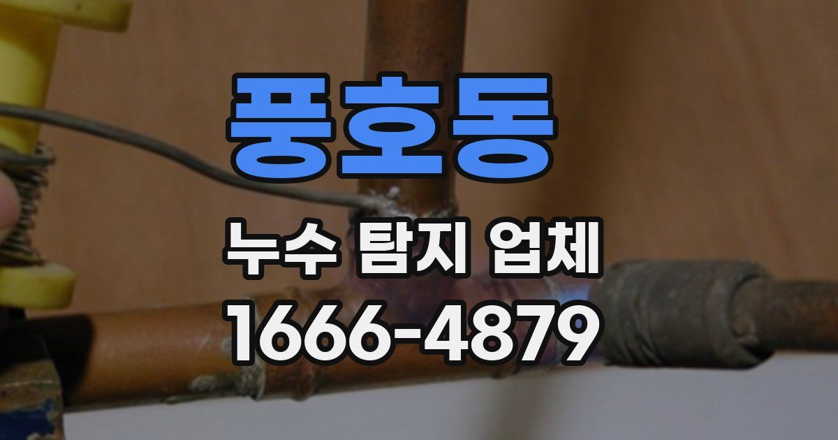 풍호동 누수 탐지 업체