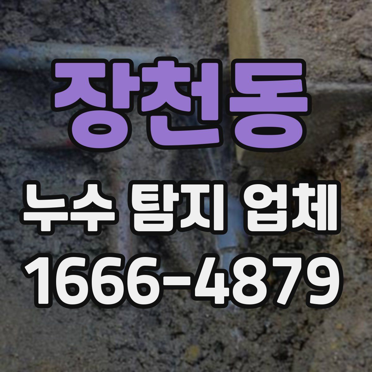 장천동 누수 탐지 업체