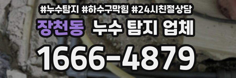 장천동 누수 탐지 업체