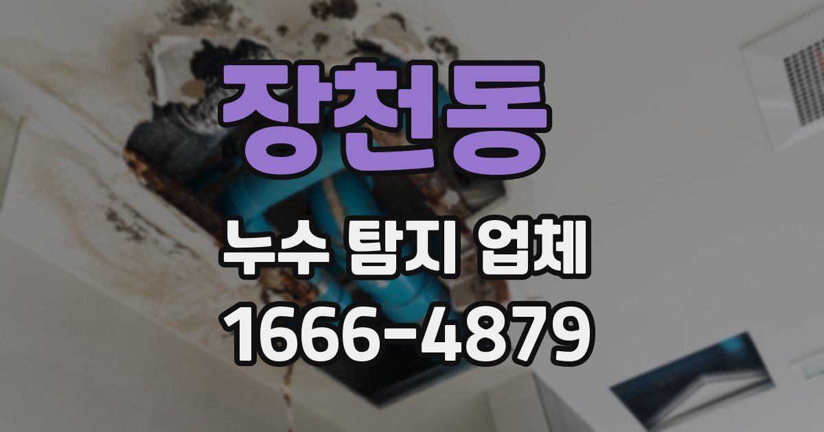 장천동 누수 탐지 업체