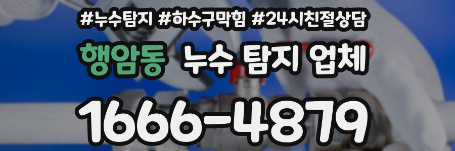 행암동 누수 탐지 업체