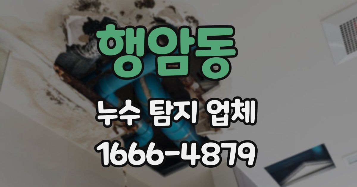 행암동 누수 탐지 업체