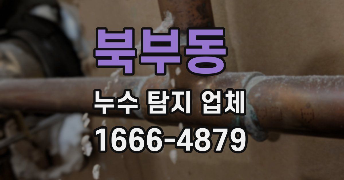 북부동 누수 탐지 업체