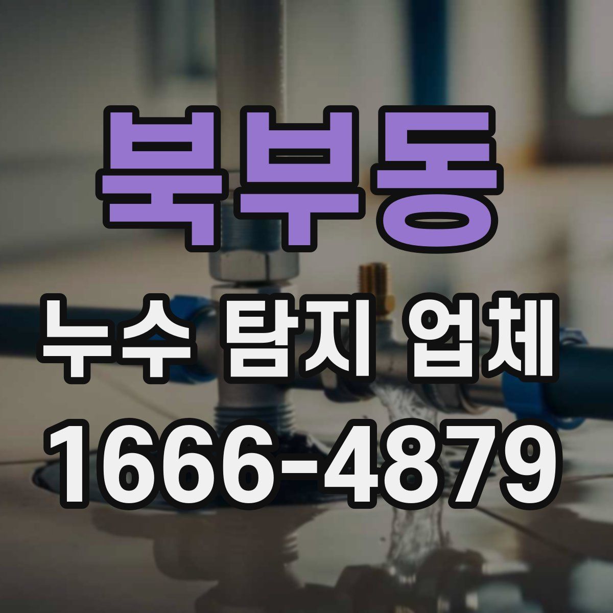 북부동 누수 탐지 업체
