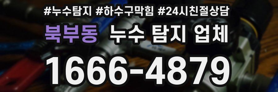 북부동 누수 탐지 업체