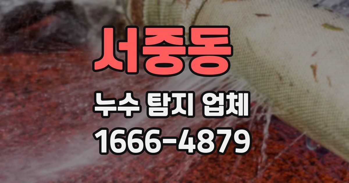 서중동 누수 탐지 업체