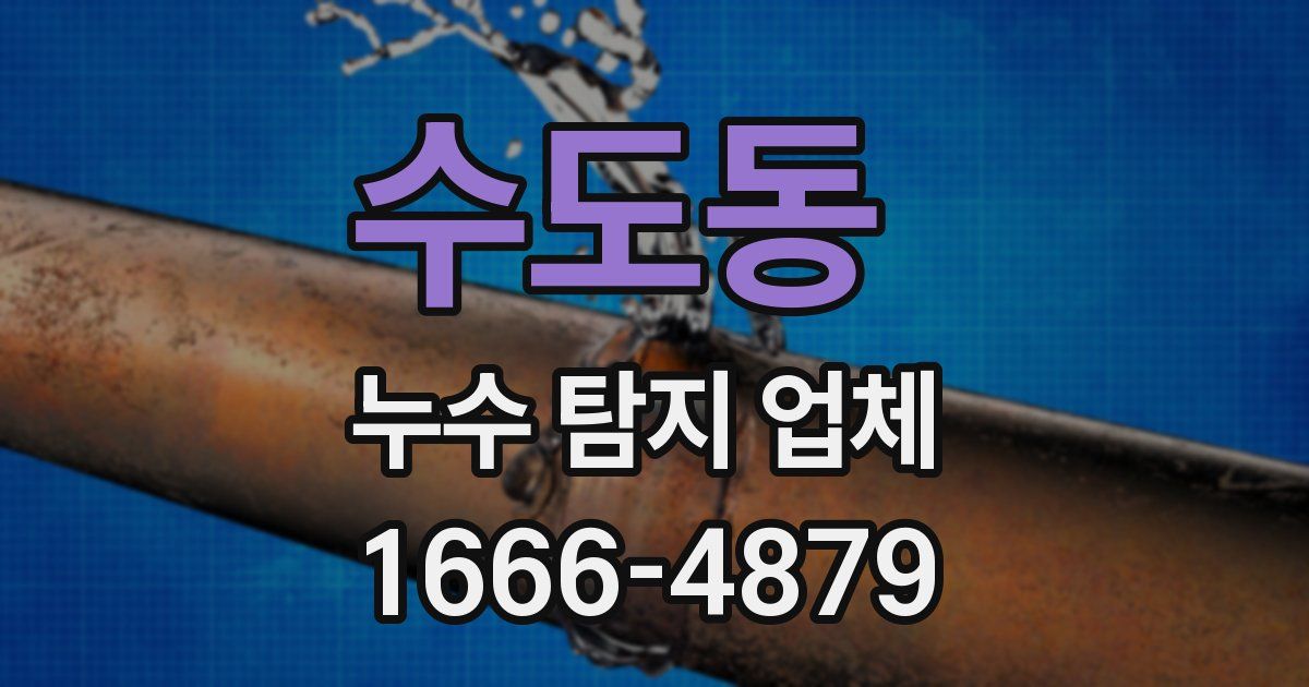수도동 누수 탐지 업체