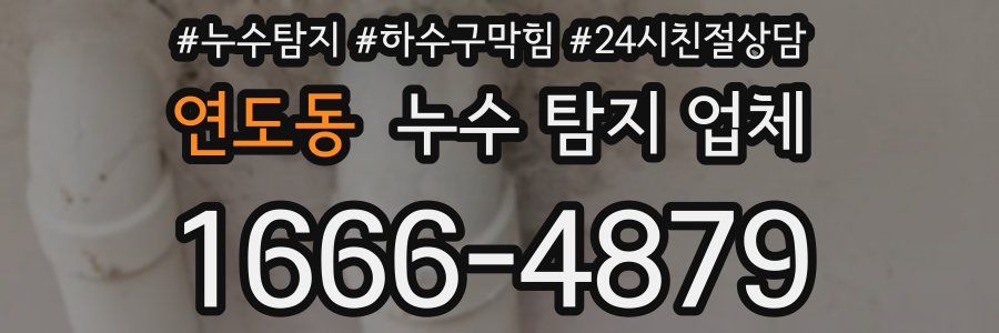 연도동 누수 탐지 업체