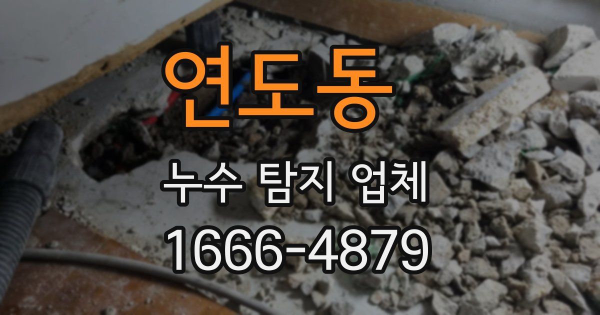 연도동 누수 탐지 업체