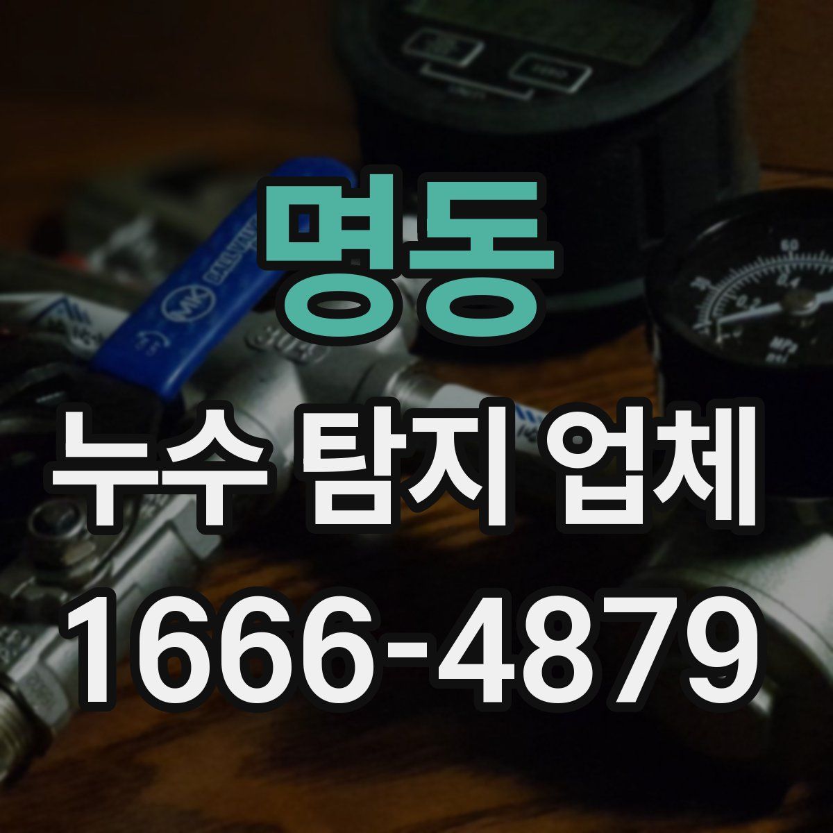 명동 누수 탐지 업체