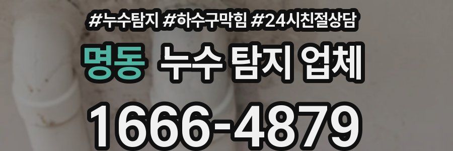 명동 누수 탐지 업체