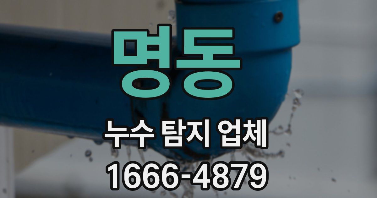 명동 누수 탐지 업체