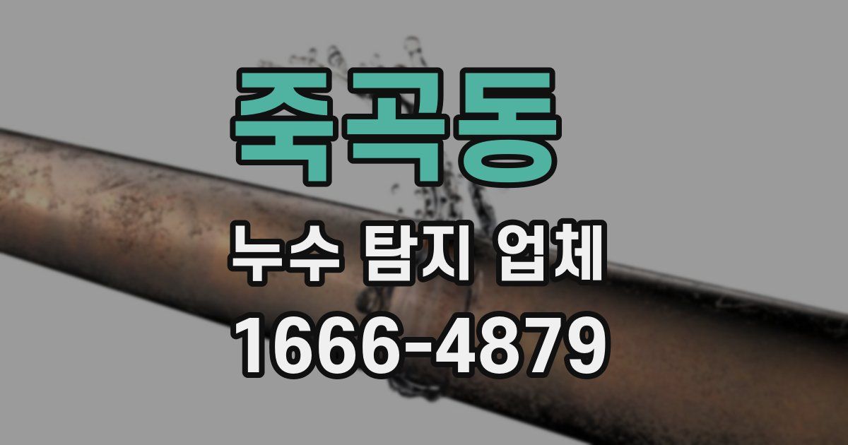 죽곡동 누수 탐지 업체