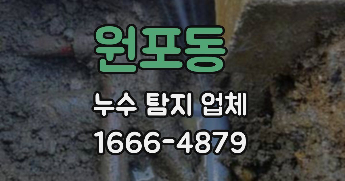 원포동 누수 탐지 업체
