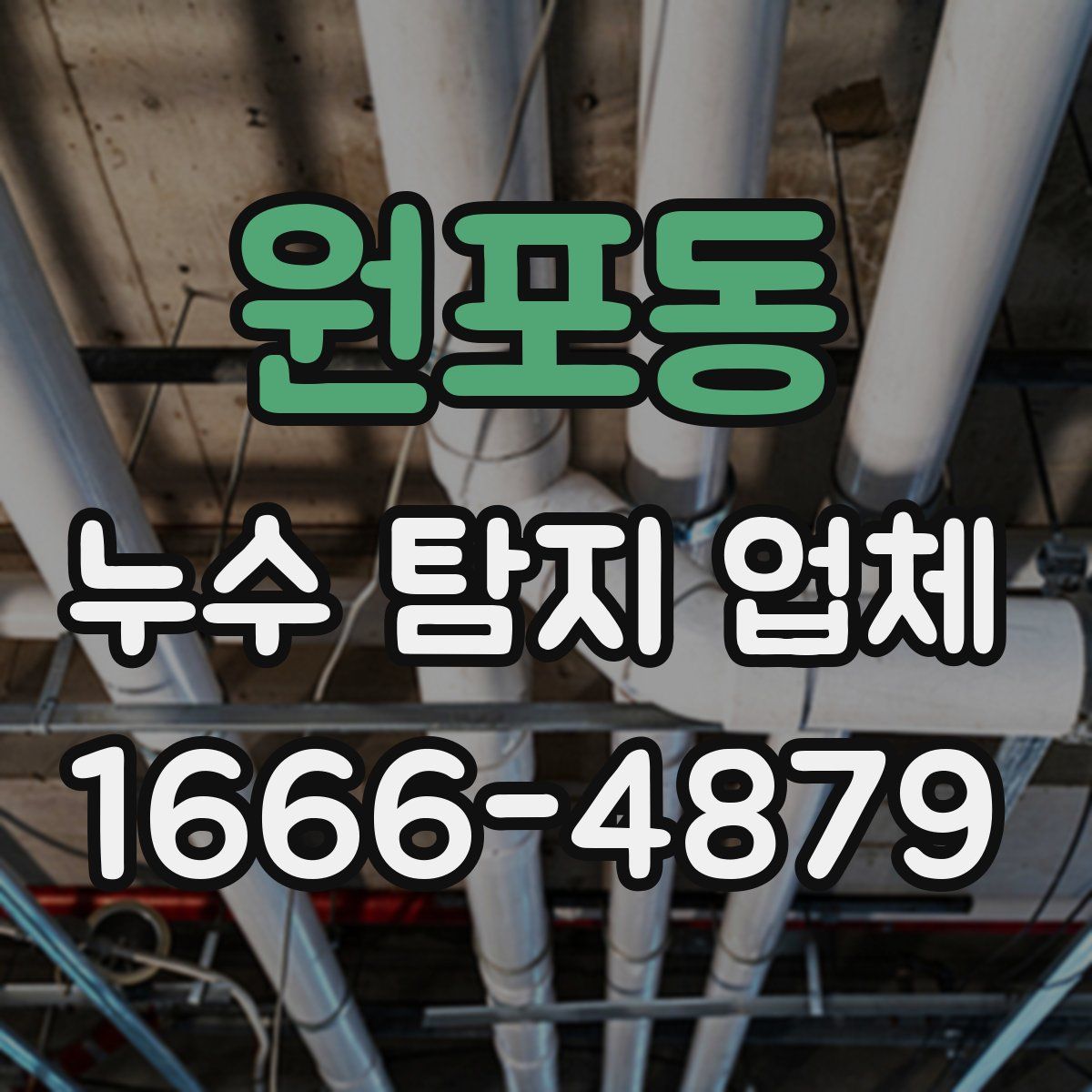 원포동 누수 탐지 업체