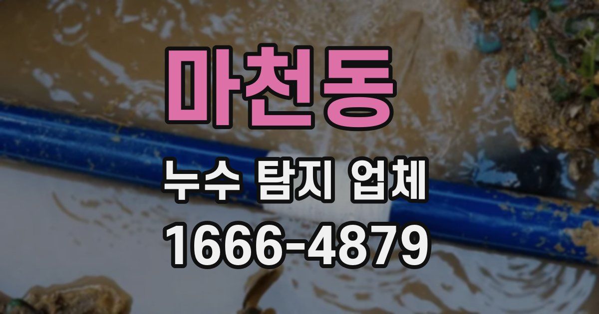 마천동 누수 탐지 업체